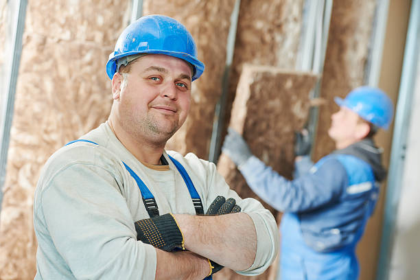 Best Insulation Installation Services in Dundee, NY